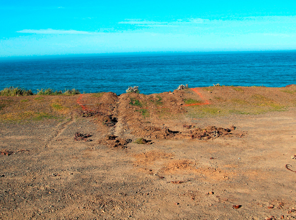 Hart Family Crash, True Crime